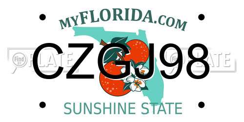 CZGJ98 Florida License Plate