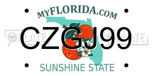 CZGJ99 Florida License Plate