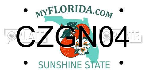 CZGN04 Florida License Plate