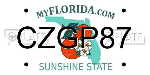 CZGP87 Florida License Plate