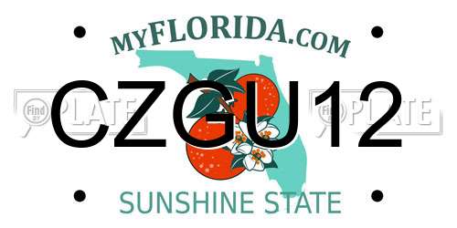 CZGU12 Florida License Plate