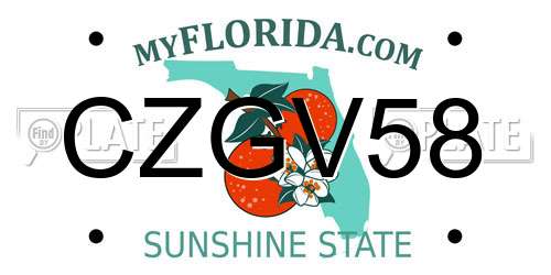 CZGV58 Florida License Plate
