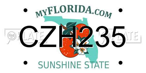 CZH235 Florida License Plate
