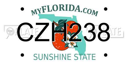 CZH238 Florida License Plate