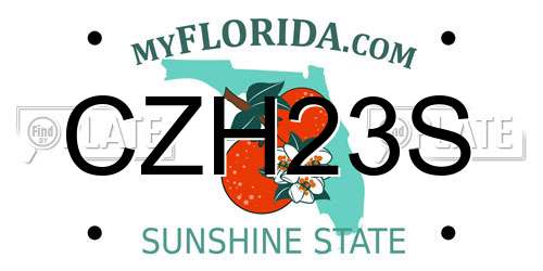 CZH23S Florida License Plate