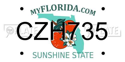 CZH735 Florida License Plate