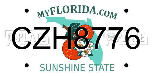 CZH8776 Florida License Plate