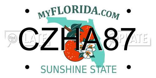 CZHA87 Florida License Plate