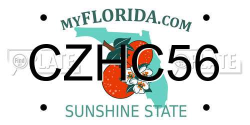 CZHC56 Florida License Plate