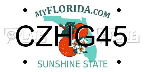 CZHG45 Florida License Plate