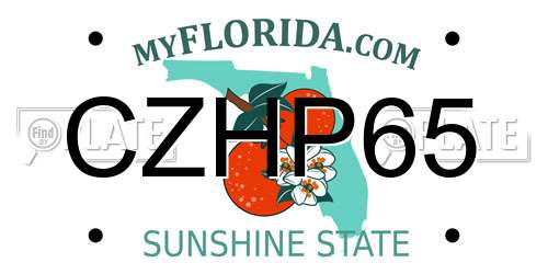 CZHP65 Florida License Plate