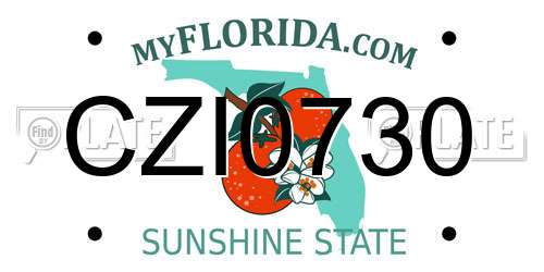CZI0730 Florida License Plate