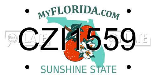 CZI1559 Florida License Plate