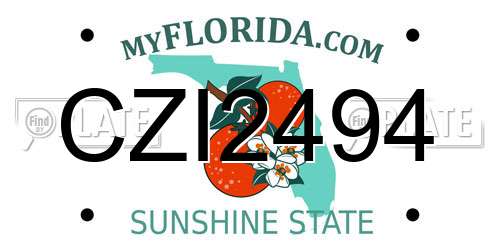 CZI2494 Florida License Plate