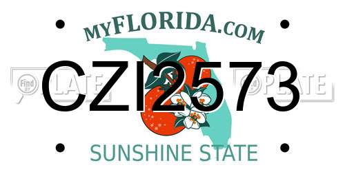 CZI2573 Florida License Plate