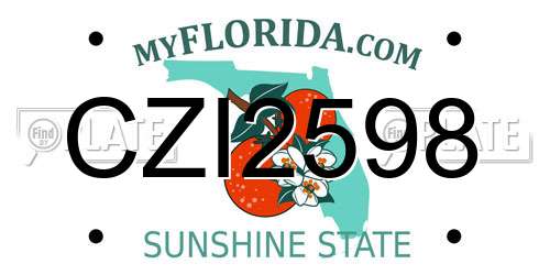 CZI2598 Florida License Plate