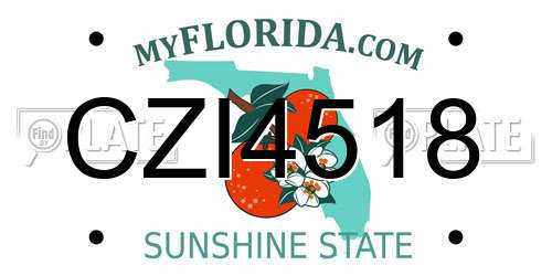 CZI4518 Florida License Plate