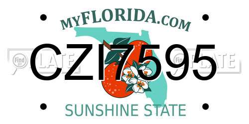 CZI7595 Florida License Plate
