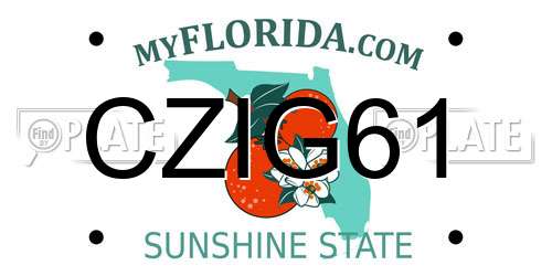CZIG61 Florida License Plate