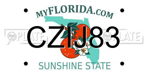 CZIJ83 Florida License Plate