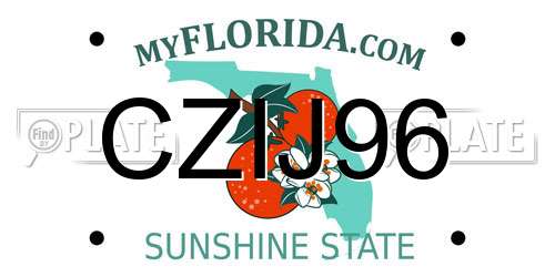 CZIJ96 Florida License Plate