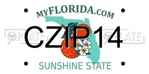 CZIP14 Florida License Plate
