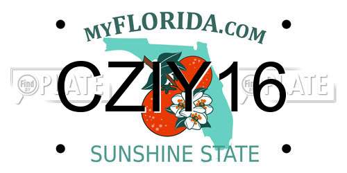 CZIY16 Florida License Plate