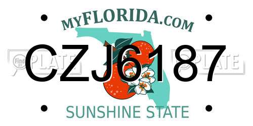 CZJ6187 Florida License Plate