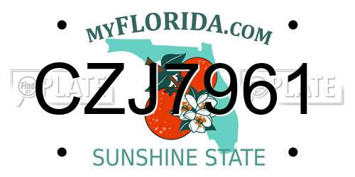 CZJ7961 Florida License Plate