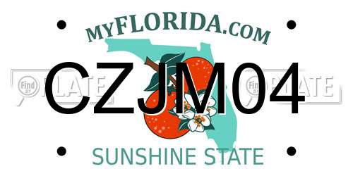 CZJM04 Florida License Plate