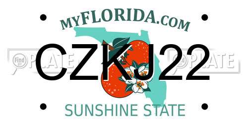 CZKJ22 Florida License Plate