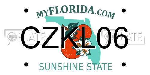 CZKL06 Florida License Plate