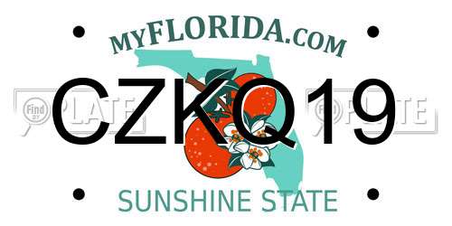 CZKQ19 Florida License Plate