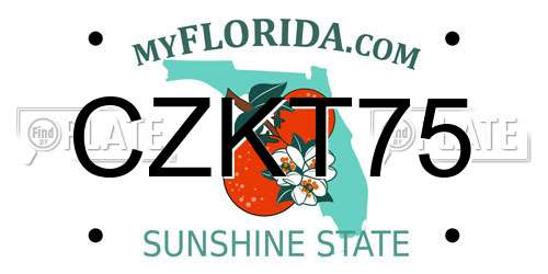CZKT75 Florida License Plate