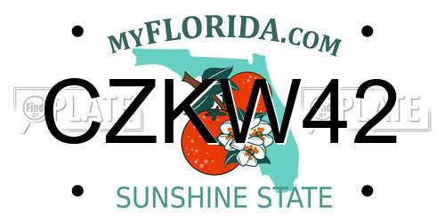 CZKW42 Florida License Plate