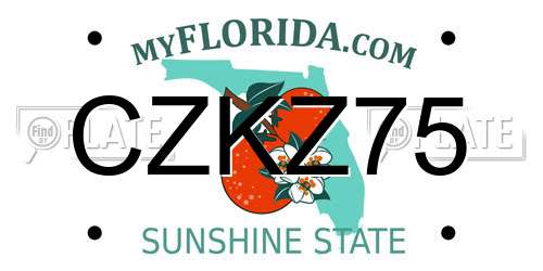 CZKZ75 Florida License Plate