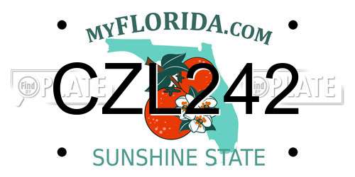 CZL242 Florida License Plate