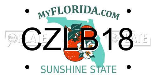 CZLB18 Florida License Plate