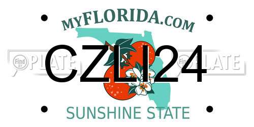 CZLI24 Florida License Plate