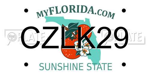 CZLK29 Florida License Plate