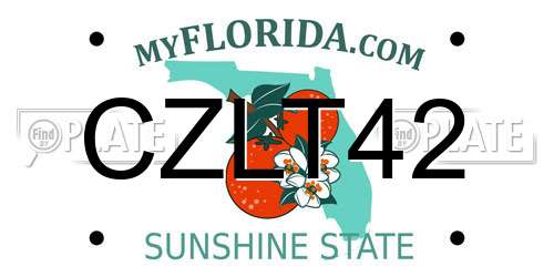 CZLT42 Florida License Plate