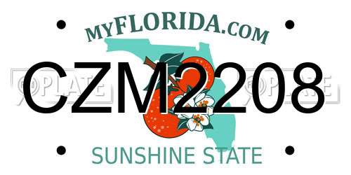 CZM2208 Florida License Plate