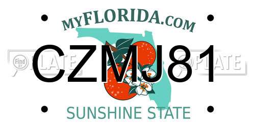 CZMJ81 Florida License Plate