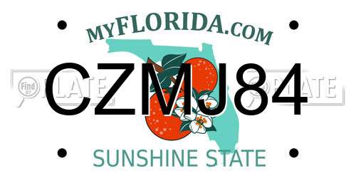 CZMJ84 Florida License Plate