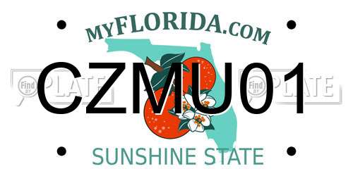CZMU01 Florida License Plate