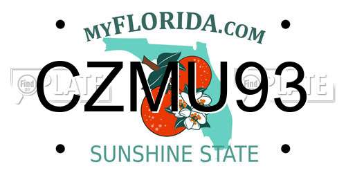 CZMU93 Florida License Plate