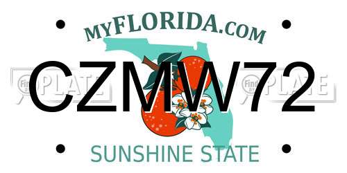 CZMW72 Florida License Plate