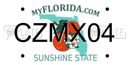 CZMX04 Florida License Plate
