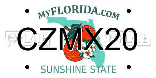 CZMX20 Florida License Plate