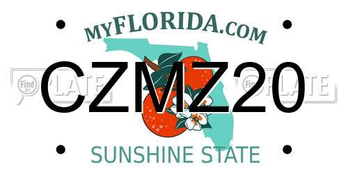 CZMZ20 Florida License Plate